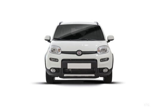 Fiat Panda 1.3D MultiJet 95 4x4 (Kit Gruau)